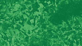 NDVI_cover